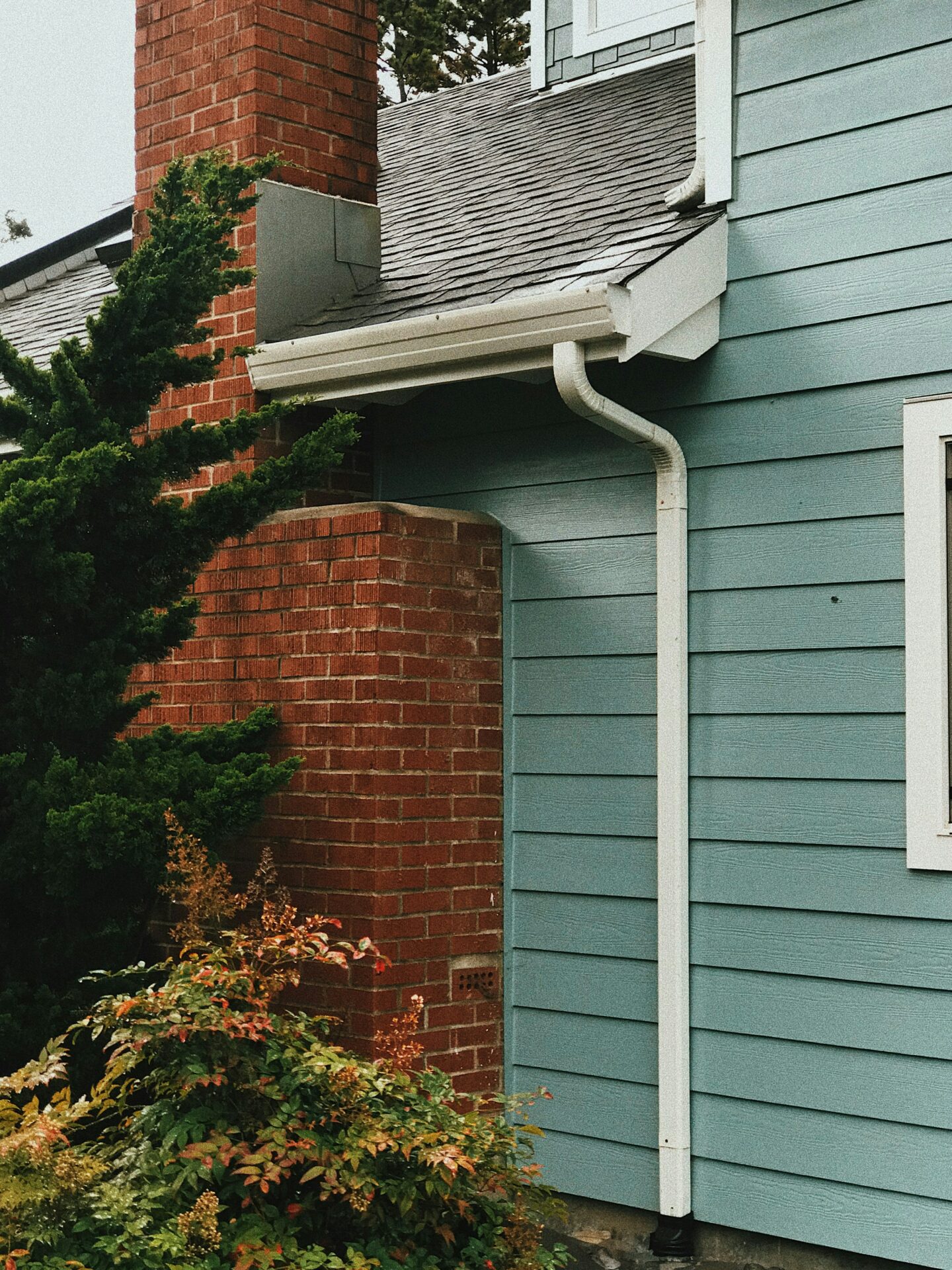 Gutter & Roof Cleaning